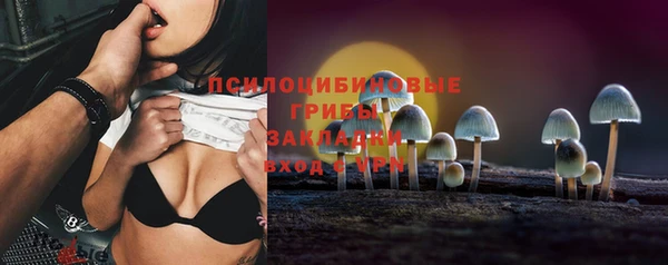 PSILOCYBIN Алексеевка