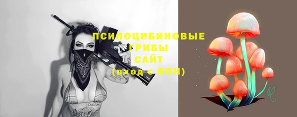 ешки Абинск