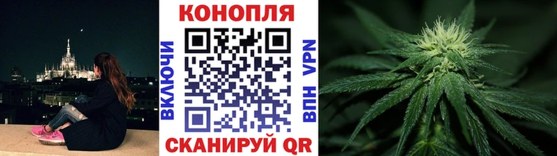 Бошки марихуана семена  продажа наркотиков  hydra ССЫЛКА  Устюжна 